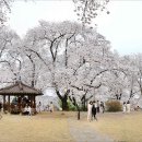 충남역사박물관 이미지