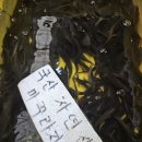 부산건강원 - 밀양시 월산1길 8-7 | 기력이 필요할 때, 부산 미꾸라지즙으로 채워본 후기! (천보민물 건강원)