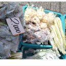 다문화길 이미지