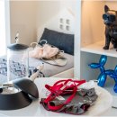 오마이펫 이미지