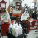 탈렌트 헤어샵 이미지