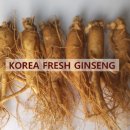 수삼센터83호