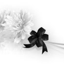 앙드레안경콘택트 이미지