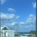 판포바다향기 이미지