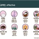 더펫 이미지