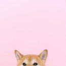 손정혁 카카오 검색결과