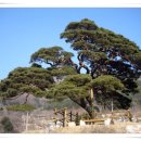 태백산장 이미지