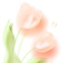 파스텔일러스트 이미지