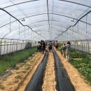 전의를디자인하는사람들 이미지