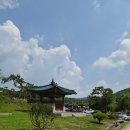 앨리스포레 | [용인/모현] 푸른 숲의 유럽가정집 감성 '앨리스포레' 드라이브명소입니다~