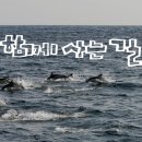 2023-0070 이미지