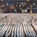 부산공동어시장 이미지