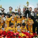 나비,날아오르다 이미지