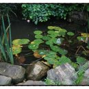 씨엔화이트 이미지