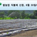 밭농업 직불제 신청,6월 30일까지 이미지