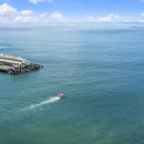 베베올레 이미지