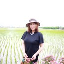 금빛PC 이미지