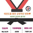 정진 태권도장 이미지