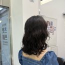 허니비헤어 - 세종특별자치시 한누리대로 205 | 허니비헤어