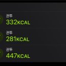 파이팅복싱다이어트 이미지