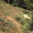 놀부농장 이미지