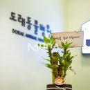 도래무아