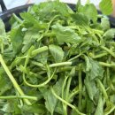 최강국밥&제육볶음 고덕점 이미지