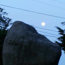 제5회독도-울릉도탐방-태극기선양회.회장 황선기.배우.김정자.가수.박수정.기아자동차 노원지점 이병주, 이미지