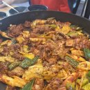 대구엔젤스코인노래연습장월성점 이미지