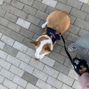 더바름동물병원 이미지