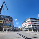 새롬동_크리스마스빌딩앞 이미지