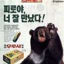 스토리47 뉴시스