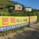 우이도 풍성사구(모래언덕) 이미지