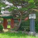 익산애견테마파크 이미지