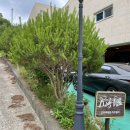 드라마타운키즈빌라 이미지