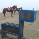 해안민박 이미지