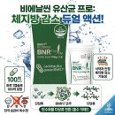 덴탈데이타솔루션 | 비에날씬 유산균 프로 한 달 복용 솔직 후기, 오리지널과 차이점 장단점