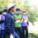 광제산영농조합법인 이미지