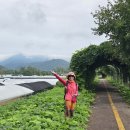 산음자연휴양림 이미지