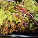 The Pho(더포) 이미지