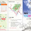 제8회 원동매화축제-3/22(토)~3/23(일)-양산시 원동면 이미지