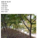 웅이네농장 이미지