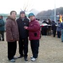 팔매숲공원 이미지