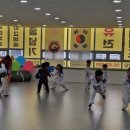 타이거 유치부 태권도 전용관 이미지