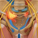 동광한의원 이미지