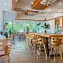 삼풍빌딩 | 2026 양재천 벚꽃길 4/2 만개함! 실시간 후기 | 주차장, 조용한 카페, 포토스팟 추천