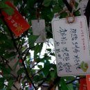 신사동 해오름작은도서관 이미지