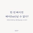 하루두피 대전유성점