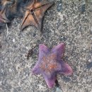 조약돌민박 이미지