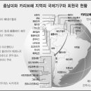 미운오리 이미지